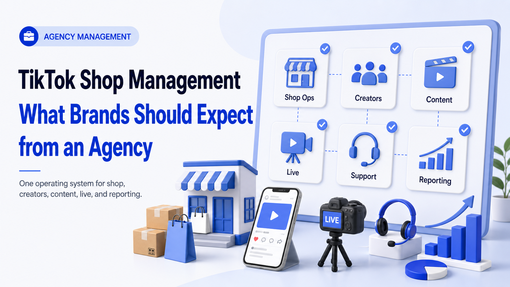 TikTok Shop Management: What Brands Should Expect from an Agency 